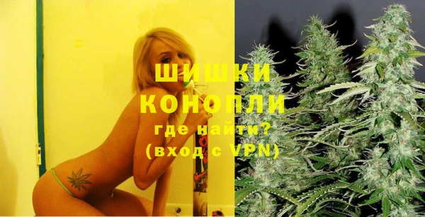 PSILOCYBIN Верхний Тагил