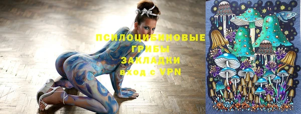 PSILOCYBIN Верхний Тагил